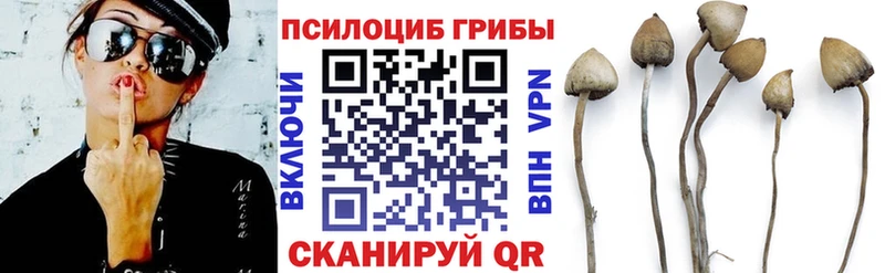 Купить  Лодейное Поле  Псилоцибиновые грибы Magic Shrooms 