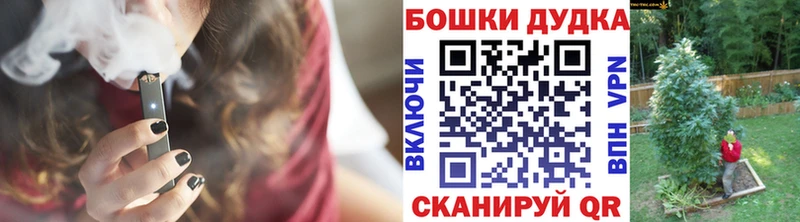 Купить где  Лодейное Поле  Конопля сатива 
